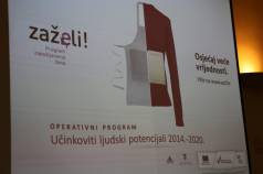 Mini IMG 5781